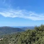 L'olivella
