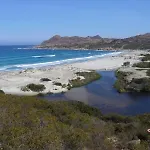 L'olivella