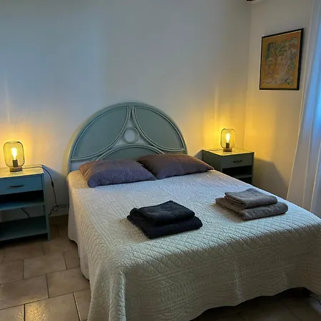 L'olivella Nyaraló Lama