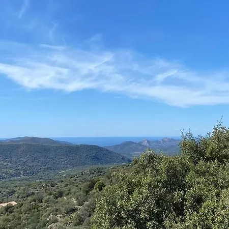 L'olivella