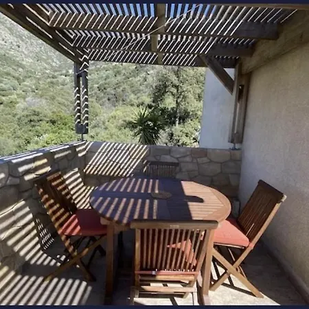 L'olivella Nyaraló *