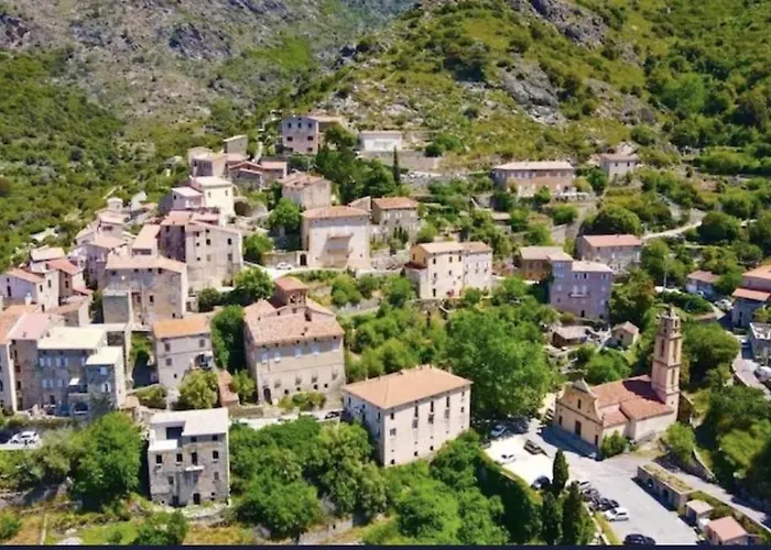 L'olivella Nyaraló *